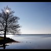 20071117_066